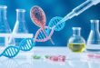 حسگر زیستی DNA برای تشخیص شیستوزوما ژاپونیکوم